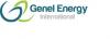 Genel Energy International Limited - PetroServices and business partners